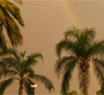 Doral Movers Doral Movers