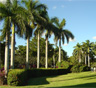 Kendall Movers Kendall Movers