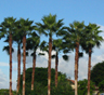 Miami Gardens Movers Miami Gardens Movers