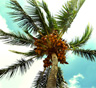 Sunny Isles Beach Movers Sunny Isles Beach Movers